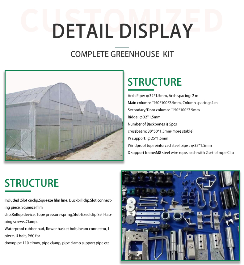 Agricultural Greenhouse Commercial Economic Tunnel Plastic Film Tomato Greenhouse Manufacturing & Supply