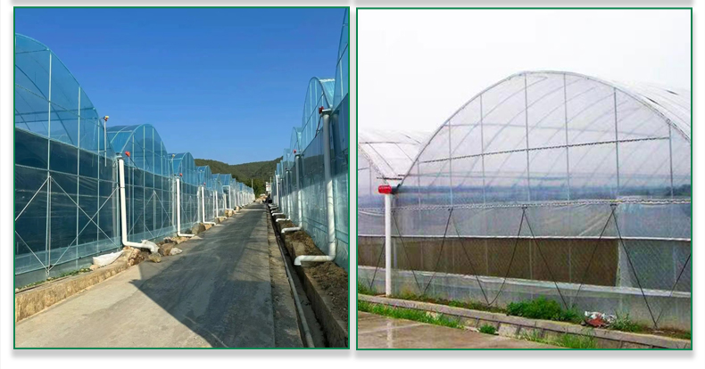 Agricultural Greenhouse Commercial Economic Tunnel Plastic Film Tomato Greenhouse Manufacturing & Supply