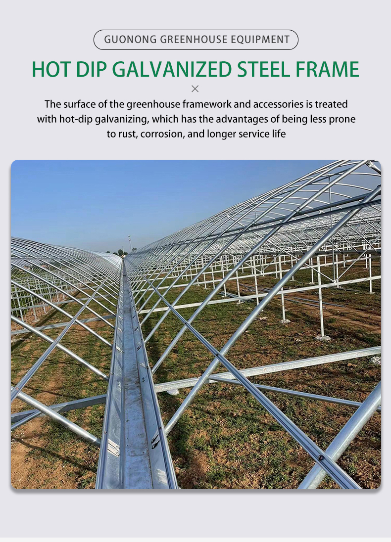 Agricultural  Greenhouse vegetable greenhouse hoop green house Commercial Economic Tunnel Plastic Film Tomato Greenhouse China Exporter Custom Solutions