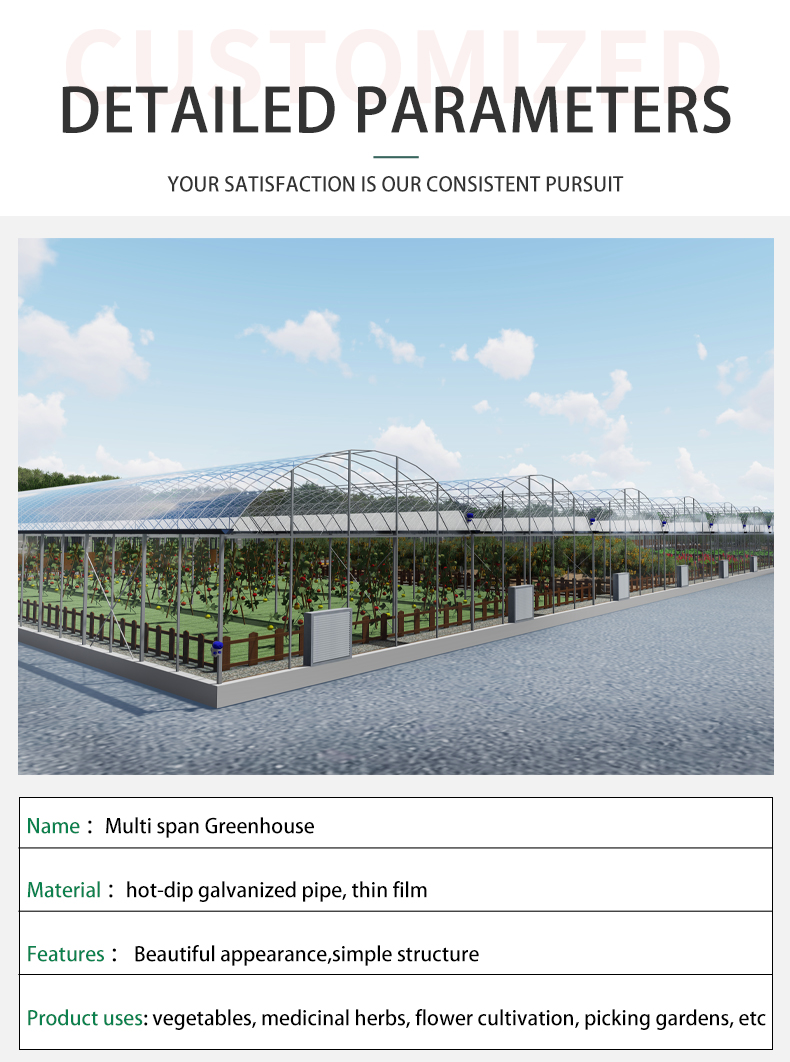 Agricultural  Greenhouse vegetable greenhouse hoop green house Commercial Economic Tunnel Plastic Film Tomato Greenhouse China Exporter Custom Solutions