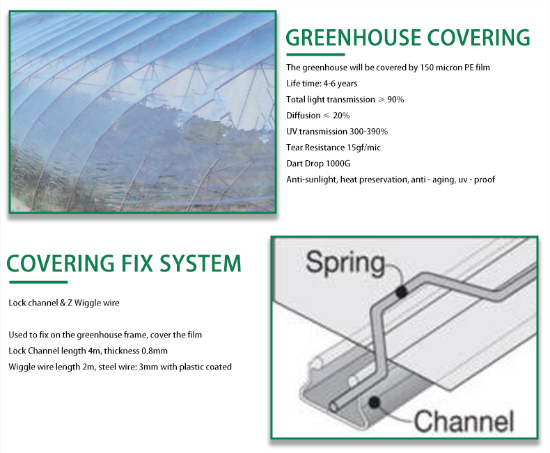 Agricultural  Greenhouse vegetable greenhouse hoop green house Commercial Economic Tunnel Plastic Film Tomato Greenhouse China Exporter Custom Solutions