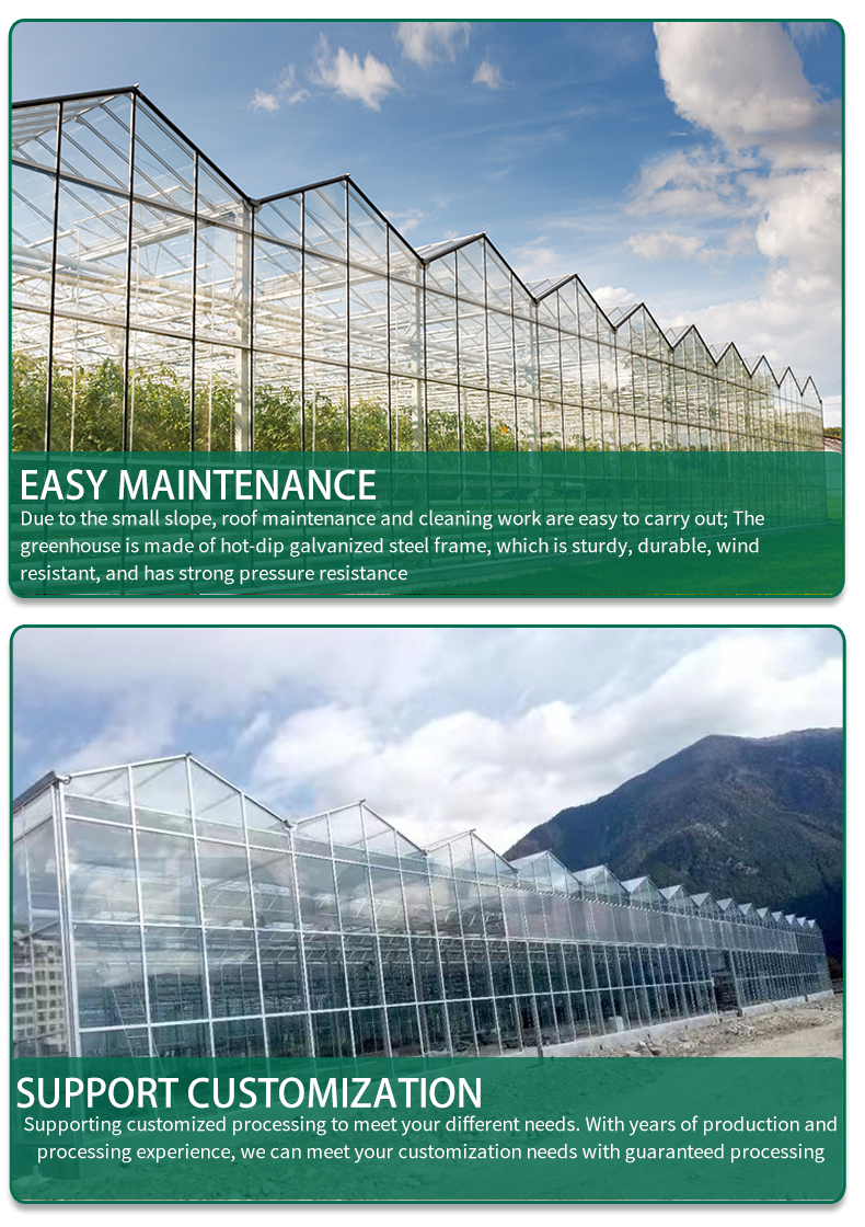 Agricultural glass multi span green house system hot selling green house metal frame vegetable greenhouse for sale Manufacturer and Supplier