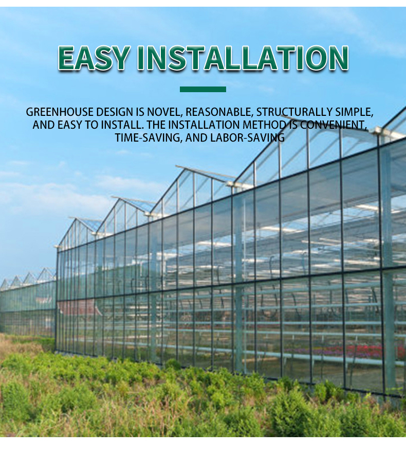 Agricultural glass multi span green house system hot selling green house metal frame vegetable greenhouse for sale Manufacturer and Supplier