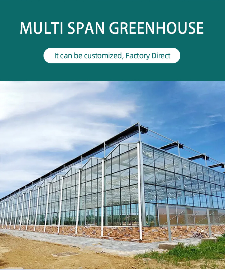 Commercial Hydroponic Glass/Pc Sheet photovoltaic Multi span Greenhouse with Tomato Growing System Large Discount Wholesale Direct