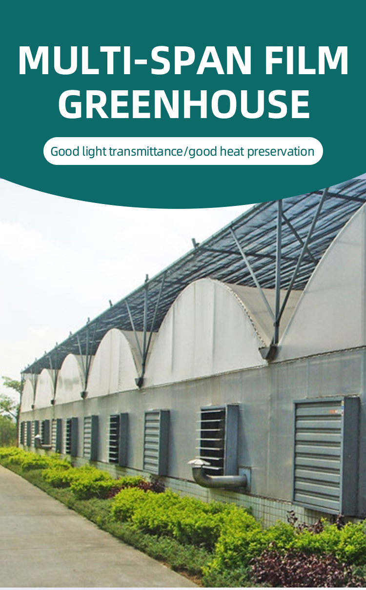 Good Quality And Easily Installed Grow tent complete kit tunnel Agricultural/Commercial Green House tomato Greenhouse Manufacturing Services Solutions