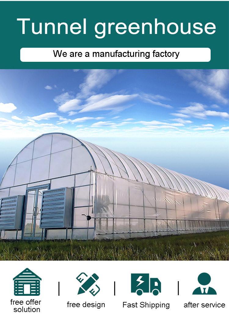 Greenhouse Arches Film Single Span Tunnel Greenhouse With Low Price With Sunshade net  Agricultural Green Houses Factory Wholesale Custom Solutions
