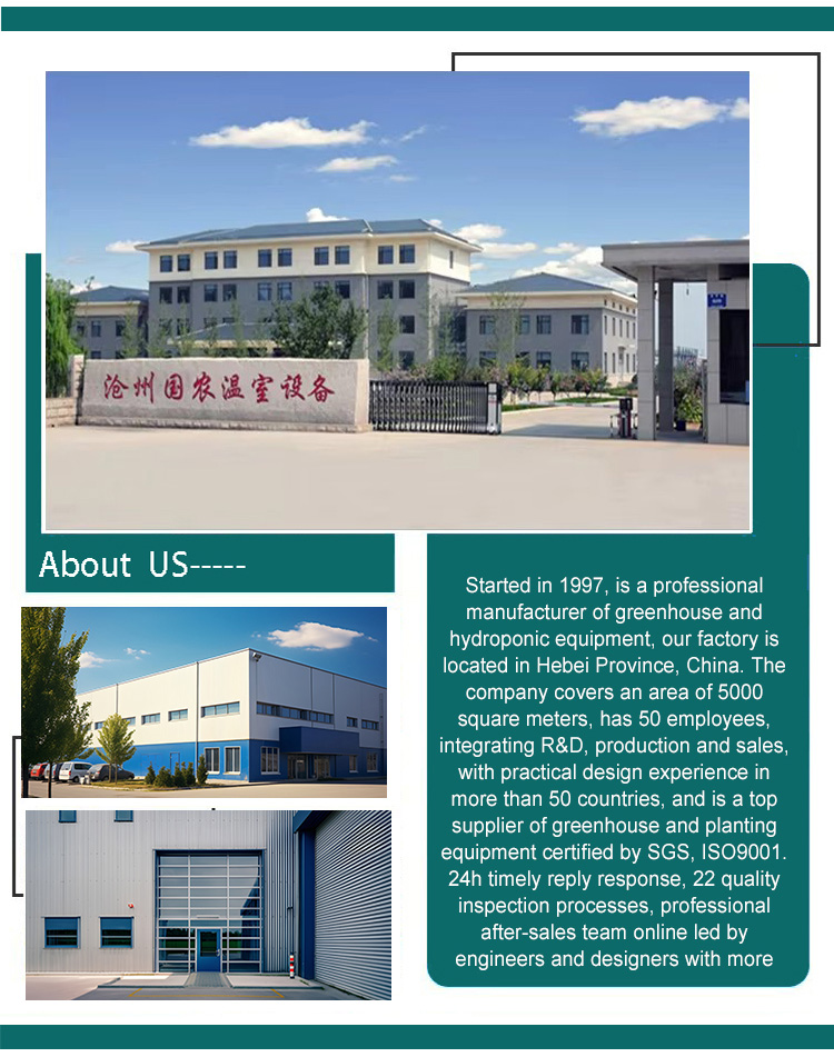 Greenhouse Arches Film Single Span Tunnel Greenhouse With Low Price With Sunshade net  Agricultural Green Houses Factory Wholesale Custom Solutions