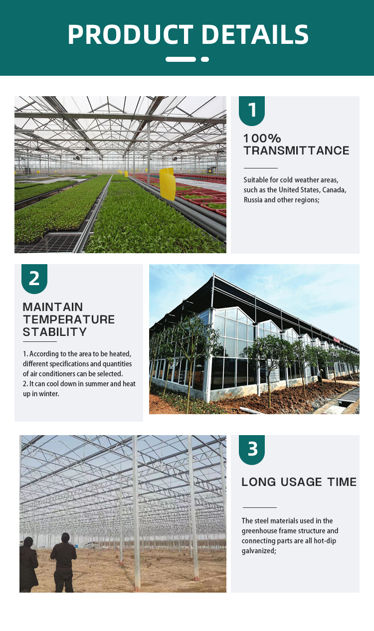 High Quality Agricultural Multi-span Hydroponic Greenhouse Farming Large Glass Greenhouse Tomato Glasshouse For Sale Bulk Wholesale