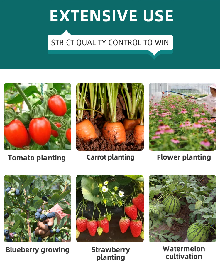 High Strength Commercial Agricultural Poly Arch Green House Tomato Plastic Film Greenhouse For Sale Large Volume Factory
