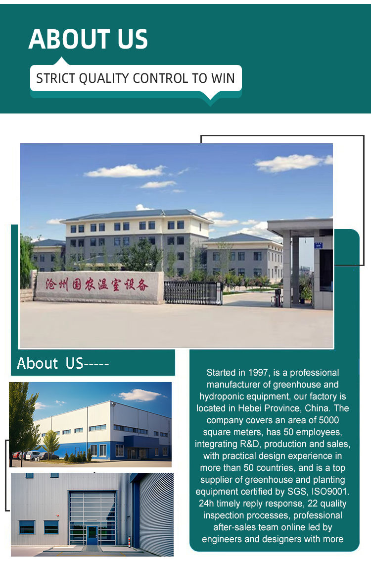High Temperature Zone Green House Metal Frame Agriculture Greenhouse 500 Square Meters Single Layer Agricultural Greenhouses Bulk Purchase Discounts
