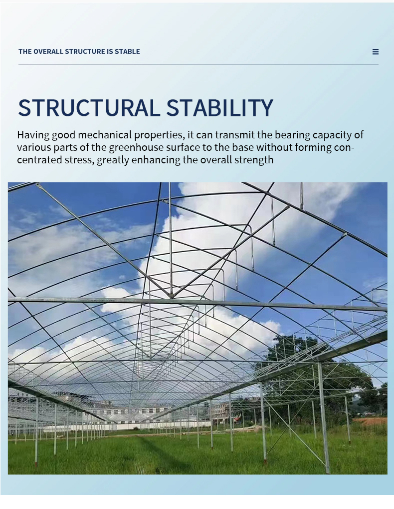 Hot-selling Multi span greenhouse agriculture polycarbonate green house greenhouse for strawberry grape raspberry China Exporter Custom Solutions