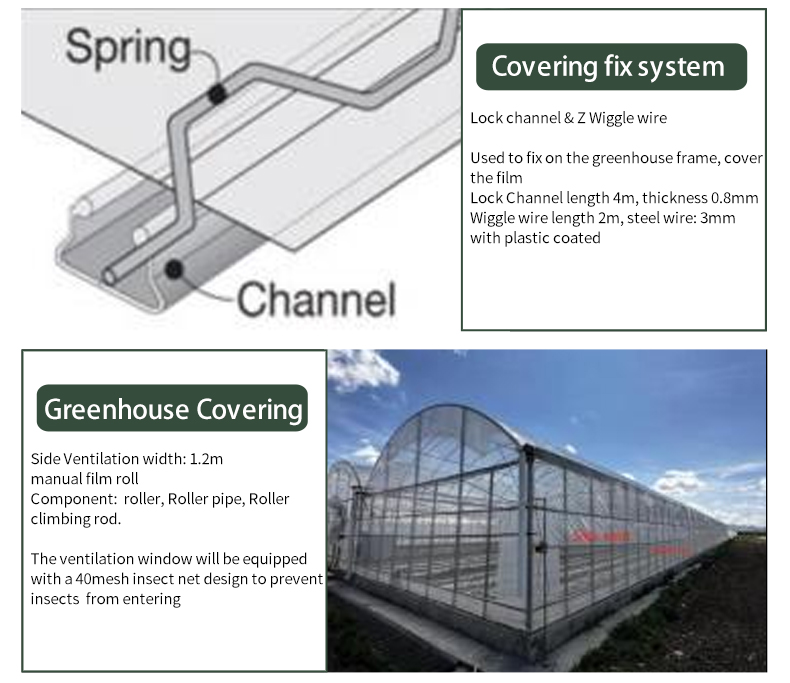 In Stock Turnkey Projects Agricultural Tomato Hydroponics invernadero Green House Greenhouse For Sale Factory to Consumer Hub