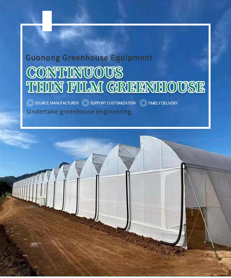 In Stock Turnkey Projects Agricultural Tomato Hydroponics invernadero Green House Greenhouse For Sale Factory to Consumer Hub