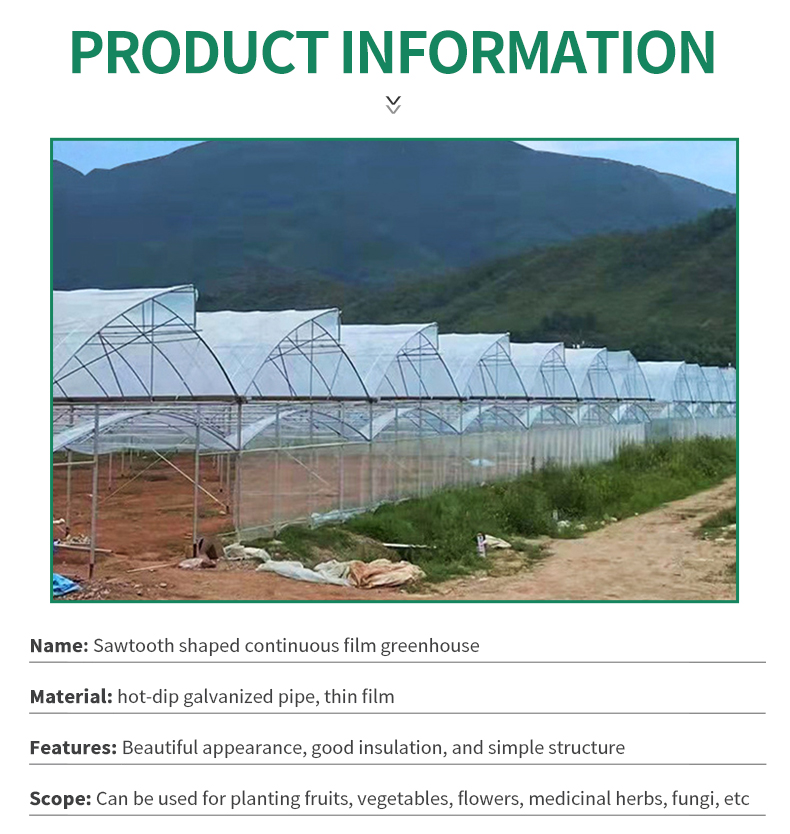 In Stock Turnkey Projects Agricultural Tomato Hydroponics invernadero Green House Greenhouse For Sale Factory to Consumer Hub
