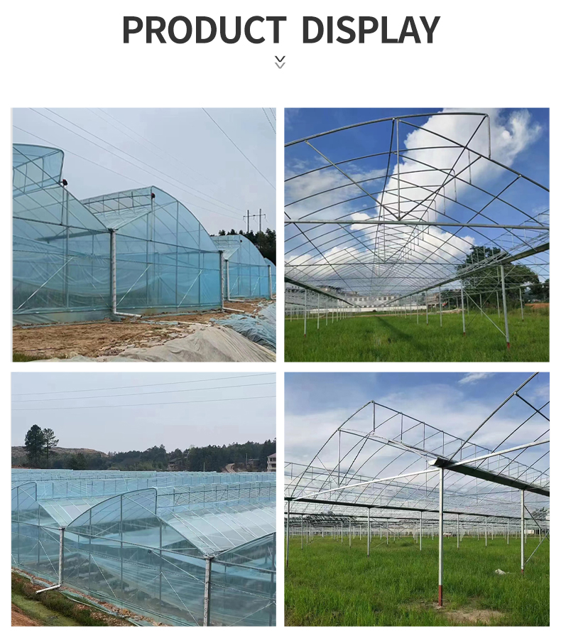 In Stock Turnkey Projects Agricultural Tomato Hydroponics invernadero Green House Greenhouse For Sale Factory to Consumer Hub