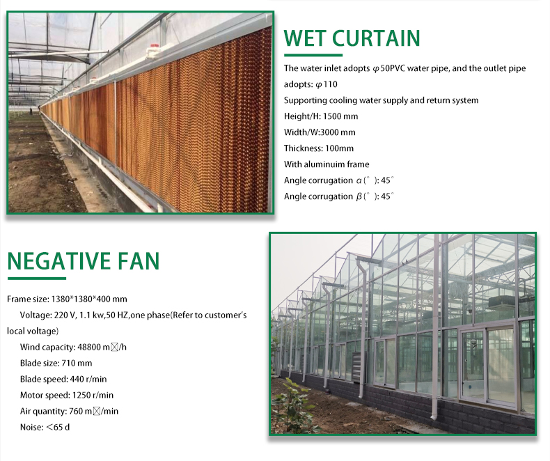 Manufactures Plastic Polytunnel Tomato Green house multi span Film Agriculture Low Cost Tunnel Greenhouse  For Sale Wholesale Factory Customization