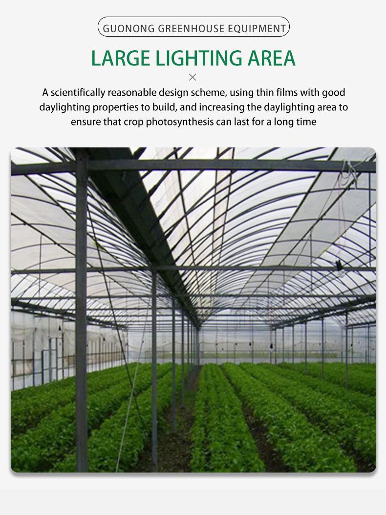 Manufactures Plastic Polytunnel Tomato Green house multi span Film Agriculture Low Cost Tunnel Greenhouse  For Sale Wholesale Factory Customization