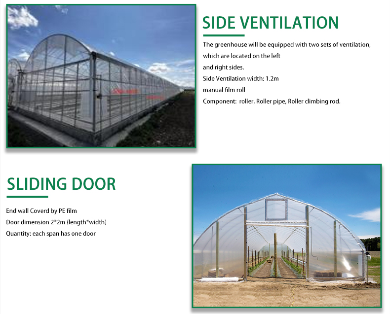 Manufactures Plastic Polytunnel Tomato Green house multi span Film Agriculture Low Cost Tunnel Greenhouse  For Sale Wholesale Factory Customization