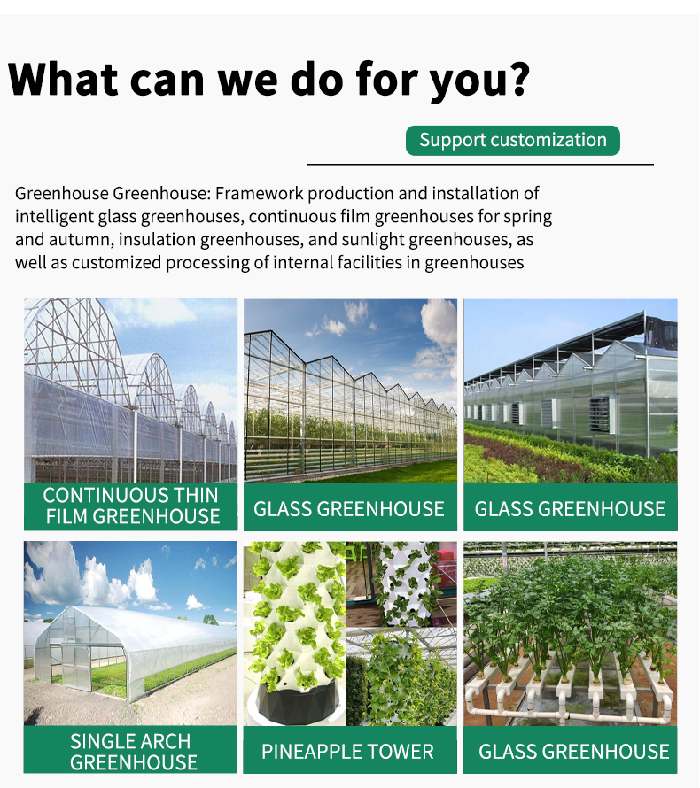 Serre agricole Plastic film agricultural  system multi-span  China Factory Export Cheap Greenhouse Structure Green House China Factory Direct Production