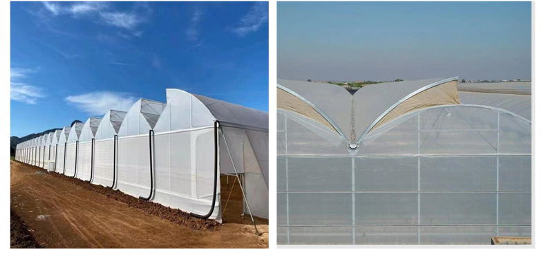 Serre agricole Plastic film agricultural  system multi-span  China Factory Export Cheap Greenhouse Structure Green House China Factory Direct Production