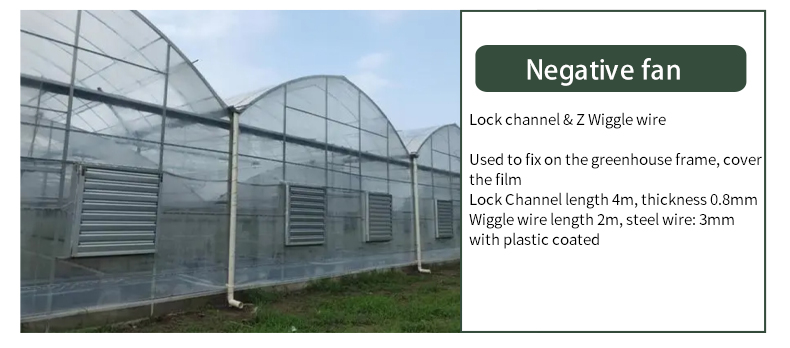 Serre agricole Plastic film agricultural  system multi-span  China Factory Export Cheap Greenhouse Structure Green House China Factory Direct Production