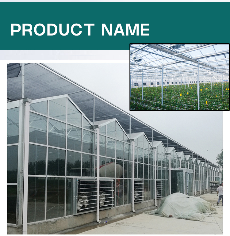 Tomato hydroponic growing systems glasshouse multi span tempered glass green house for vegetables Manufacturing and Export Efficiency