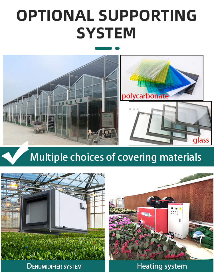 Tomato hydroponic growing systems glasshouse multi span tempered glass green house for vegetables Manufacturing and Export Efficiency