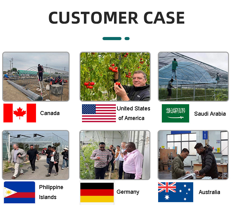 Tomato hydroponic growing systems glasshouse multi span tempered glass green house for vegetables Manufacturing and Export Efficiency
