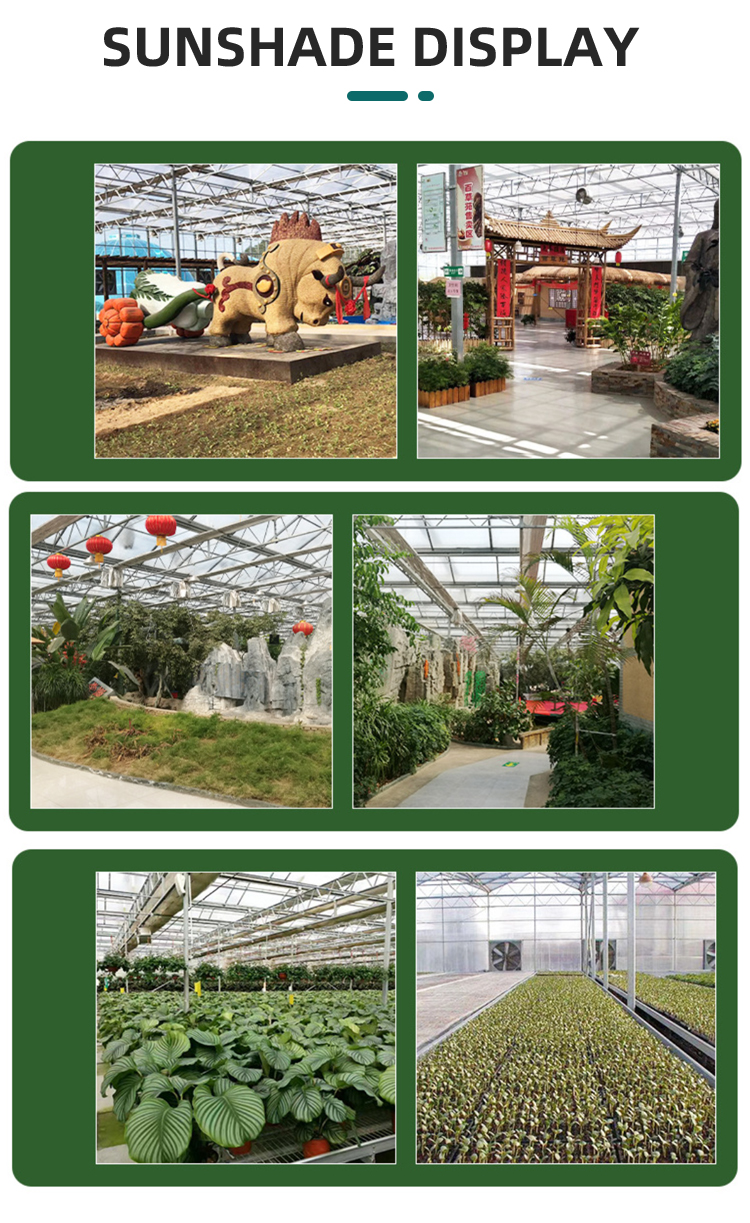 Tomato hydroponic growing systems glasshouse multi span tempered glass green house for vegetables Manufacturing and Export Efficiency