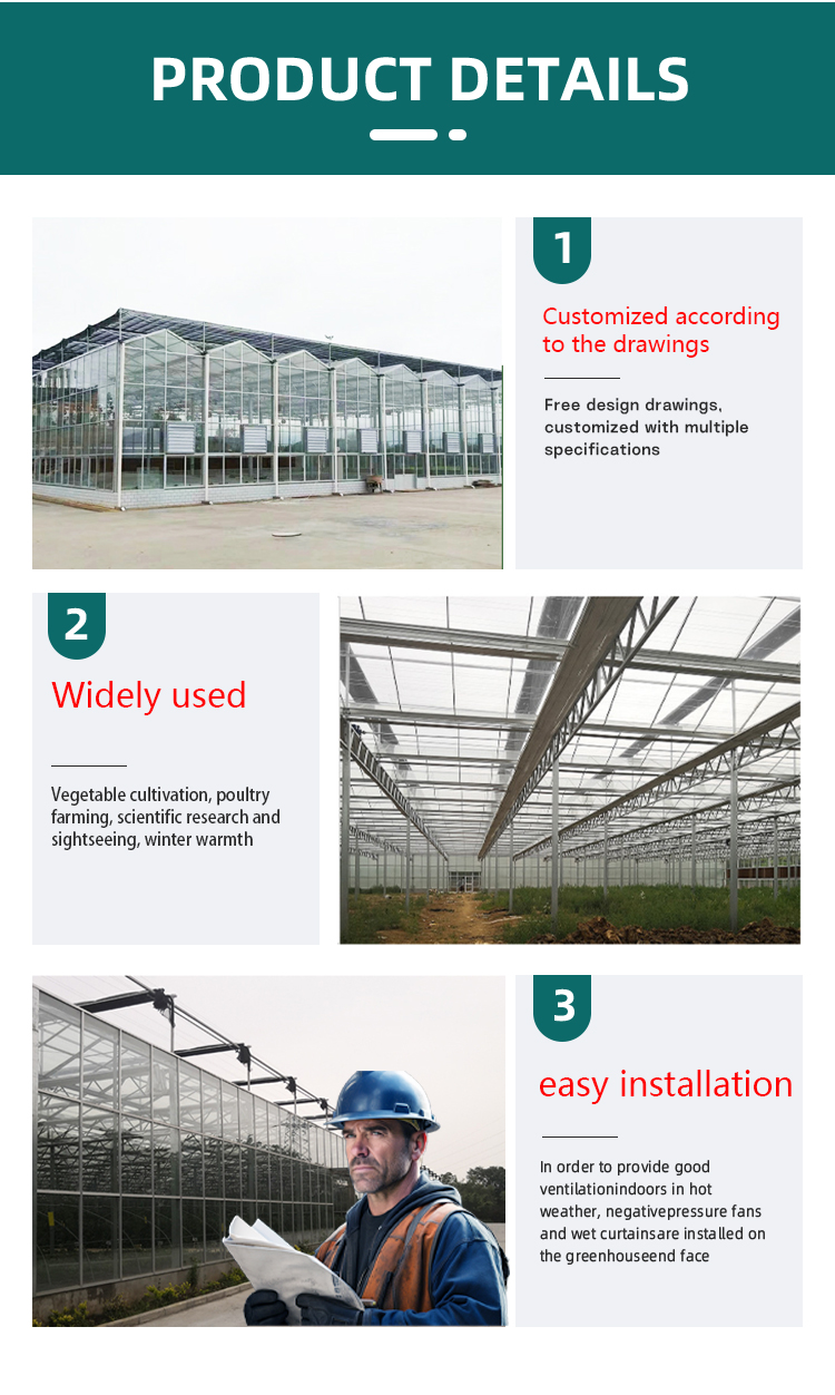 Tomato hydroponic growing systems glasshouse multi span tempered glass green house for vegetables Manufacturing and Export Efficiency