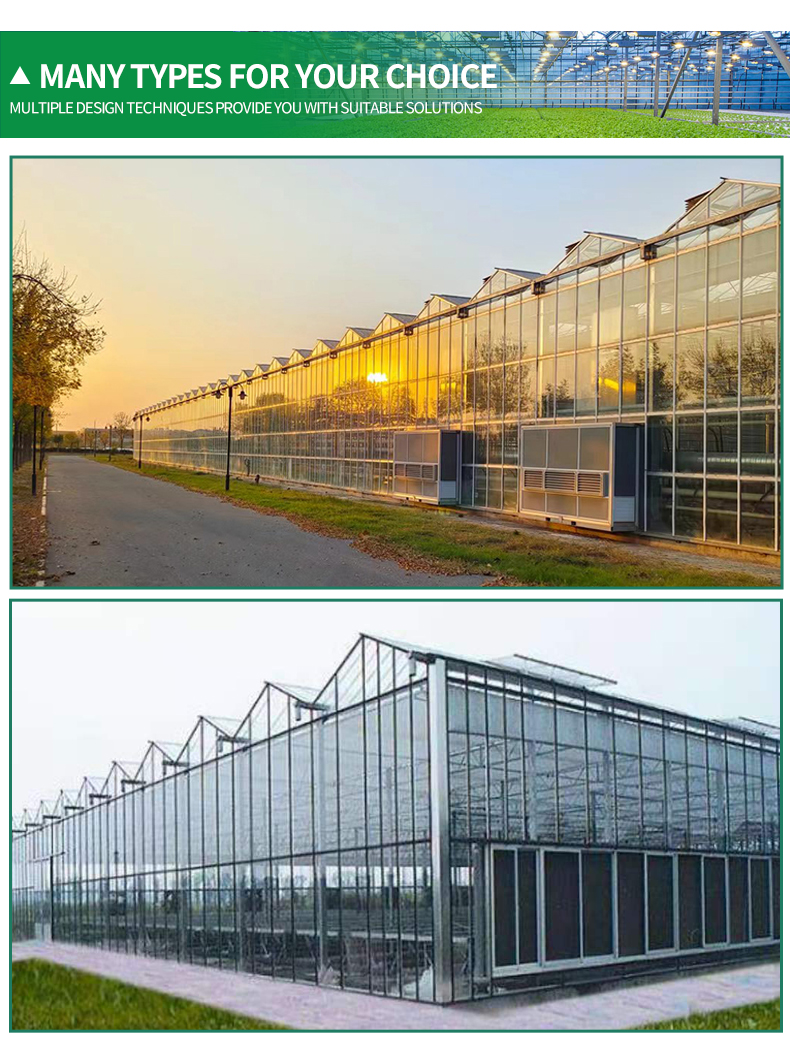 Venlo Greenhouse Glass Greenhouse Galvanized With Steel Frame Hydroponic Growing System In-solar Agricultural Greenhouse China Factory Supply Services