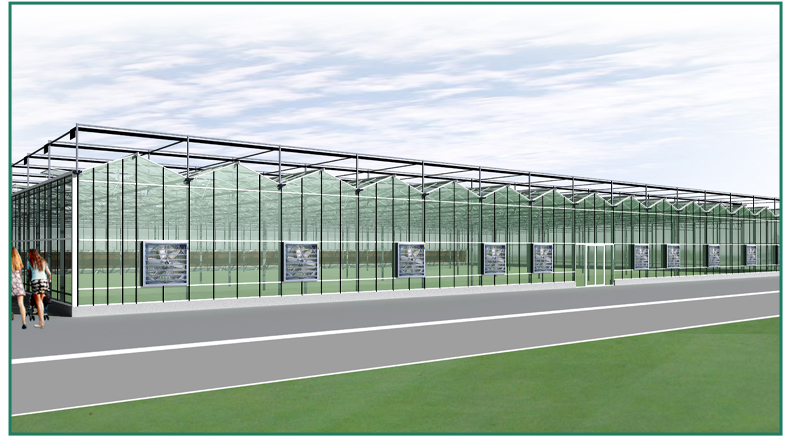 Venlo Greenhouse Glass Greenhouse Galvanized With Steel Frame Hydroponic Growing System In-solar Agricultural Greenhouse China Factory Supply Services