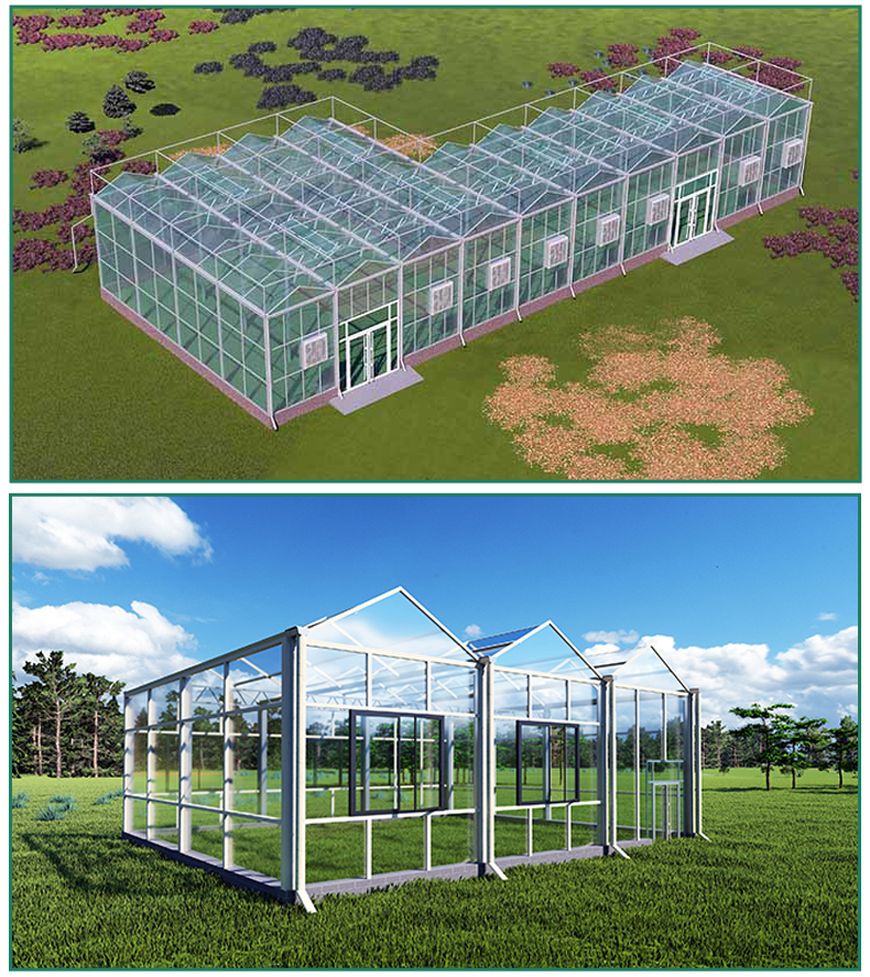 Venlo Greenhouse Glass Greenhouse Galvanized With Steel Frame Hydroponic Growing System In-solar Agricultural Greenhouse China Factory Supply Services