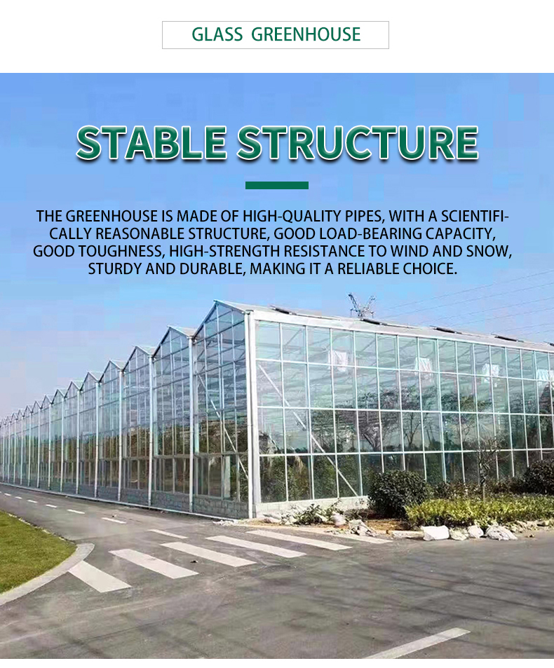 Venlo Greenhouse Glass Greenhouse Galvanized With Steel Frame Hydroponic Growing System In-solar Agricultural Greenhouse China Factory Supply Services