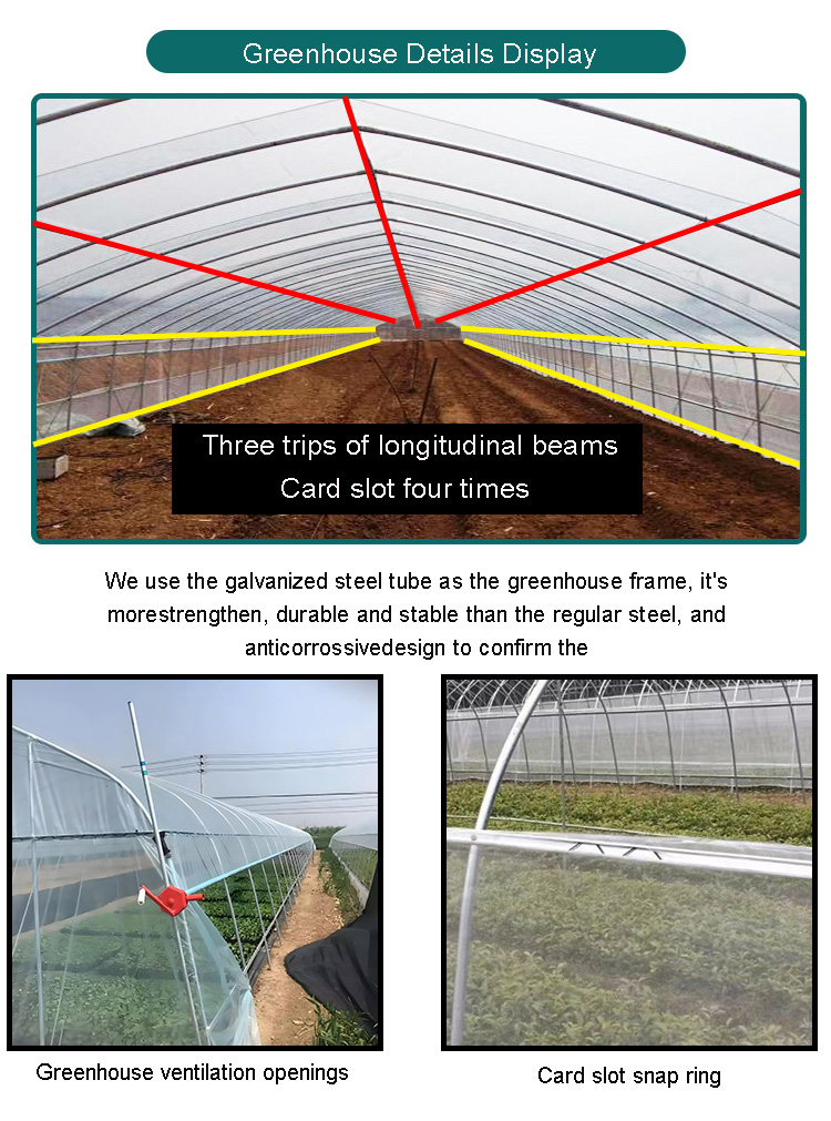 low cost Single-span Polytunnel Greenhouse single span tunnel vegetable greenhouse green house used for sale Custom Factory Production Trade