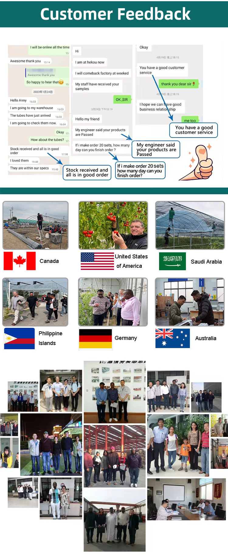 low cost Single-span Polytunnel Greenhouse single span tunnel vegetable greenhouse green house used for sale Custom Factory Production Trade