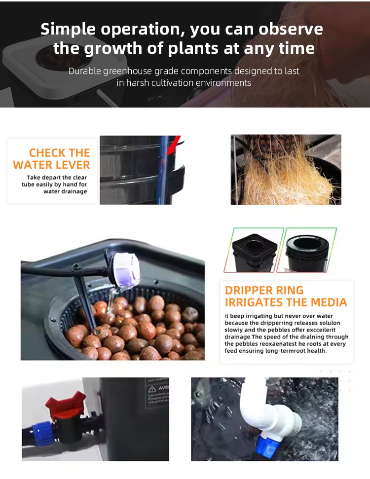 2024 New Hydroponic Equipment 5 Gallon Dwc Growing Systems Kits Aeroponics Container Hydroponic Growing Systems Export Factory Supplier