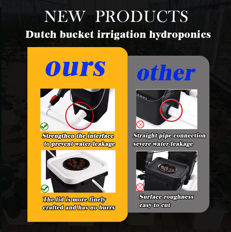 Complete  Agricultural Equipment Hydroponic Greenhouse System Suppliers Dutch Bucket Hydroponics growing System Export Manufacturing Operations