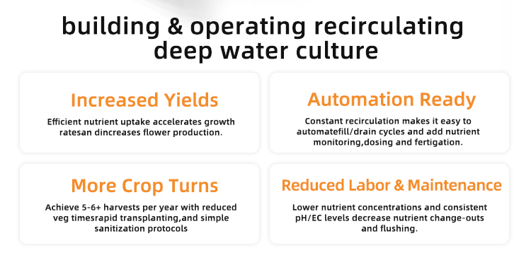 Greenhouse High Quality Recirculating Cultivation Hydroponic Plants Growth Tomato Dutch Bucket  Growing System With Water pump Industrial Production