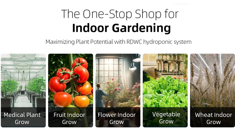 Greenhouse High Quality Recirculating Cultivation Hydroponic Plants Growth Tomato Dutch Bucket  Growing System With Water pump Industrial Production