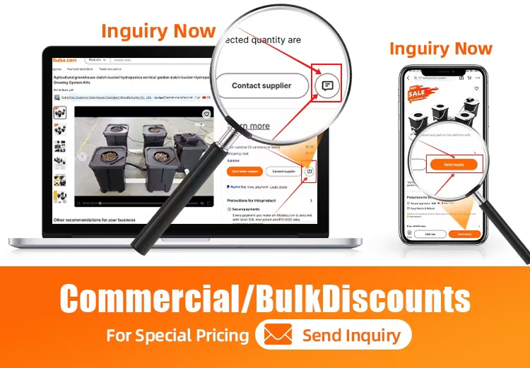 Quick Turnkey Project With Inventory Available Dutch Barrel With Net Pot Pp Material Dutch Bucket Hydroponics System Wholesale B2B Pricing Outlet