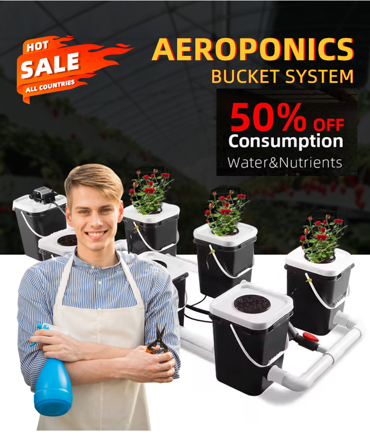 Turnkey Project Irrigation Hydroponics Equipment Agricultural Equipment Vertical Hydroponic Greenhouse System Kit Suppliers B2B Manufacturing
