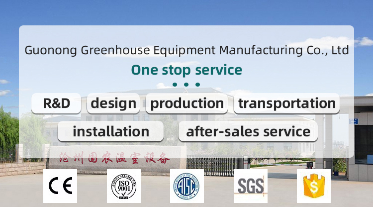 6/10 Layers Greenhouse Vertical Hydroponic Planting Vegetables System Nft Hydroponic Grow Pineapple Aeroponic Tower Grow Kit China Production Hub