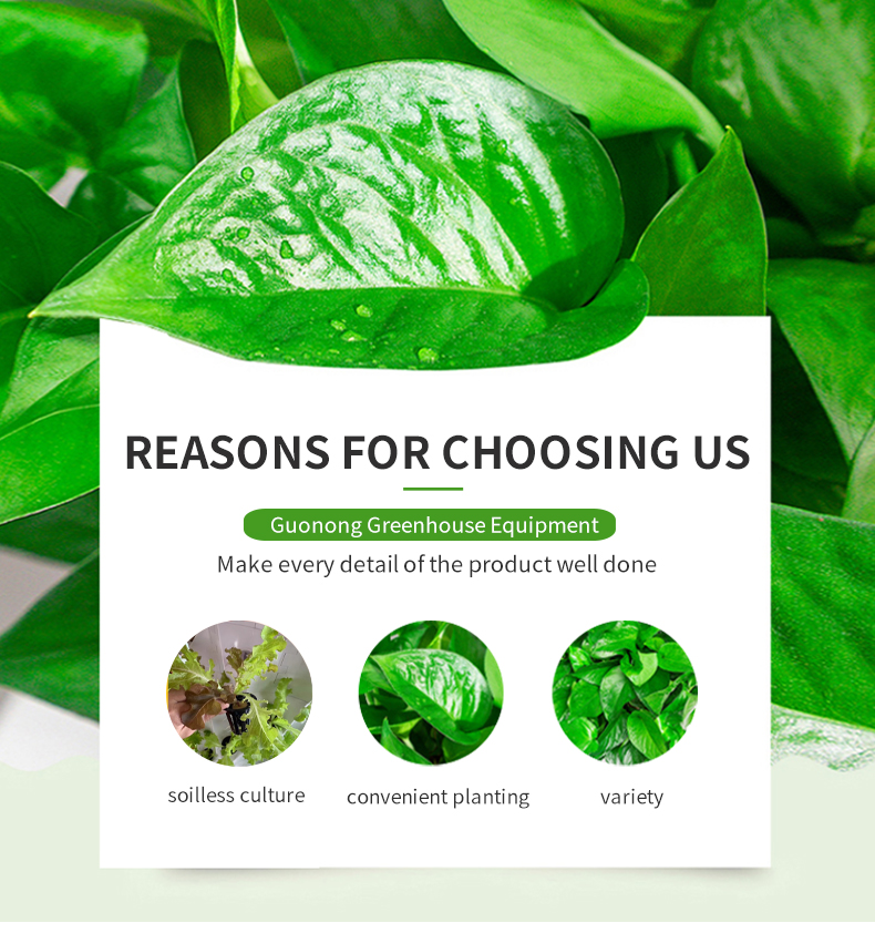 Hot Sale Nft Hydroponic Growing Systems Home Vertical Garden Tower With Led Grow Light Manufacturing and Export Services
