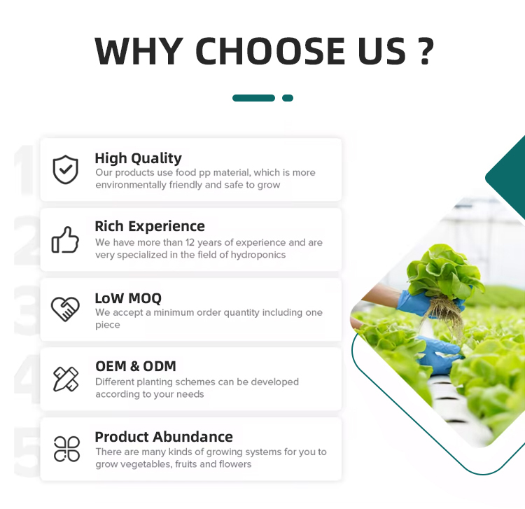 Vertical Hydroponic Pineapple Aeroponic TowerFarming Smart Hydroponics Vertical Garden Grow Kit Pineapple Tower Outdoor Discounted Bulk Pricing