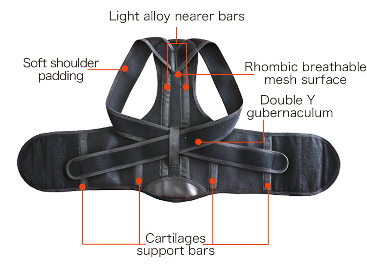 Back Pain Belt New Posture Corrector Orthopedic Brace Scoliosis Back Support Belt for Man Woman Shoulder Bandage Corset Back Industrial Bulk Supply