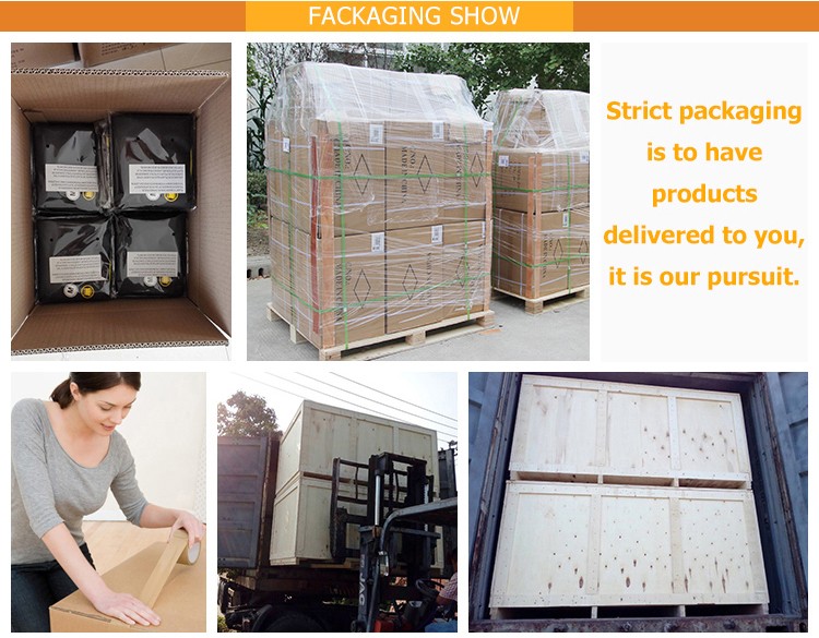 Net fabric waist EVA gasket double compression abdominal support lifting squat waist Factory Authorized Wholesale Export