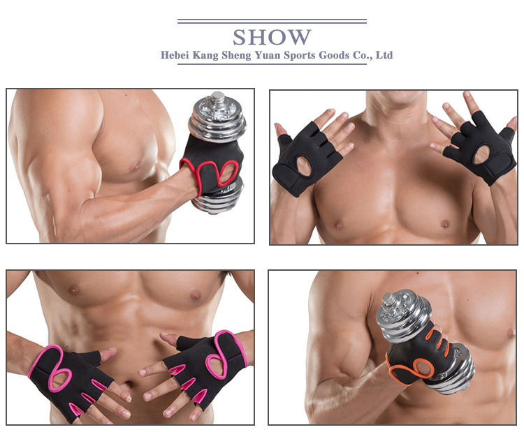 New Fashion Sport Workout Fitness Weight Lifting Gloves Gym Gloves for Men and Women Factory Direct Sales Export