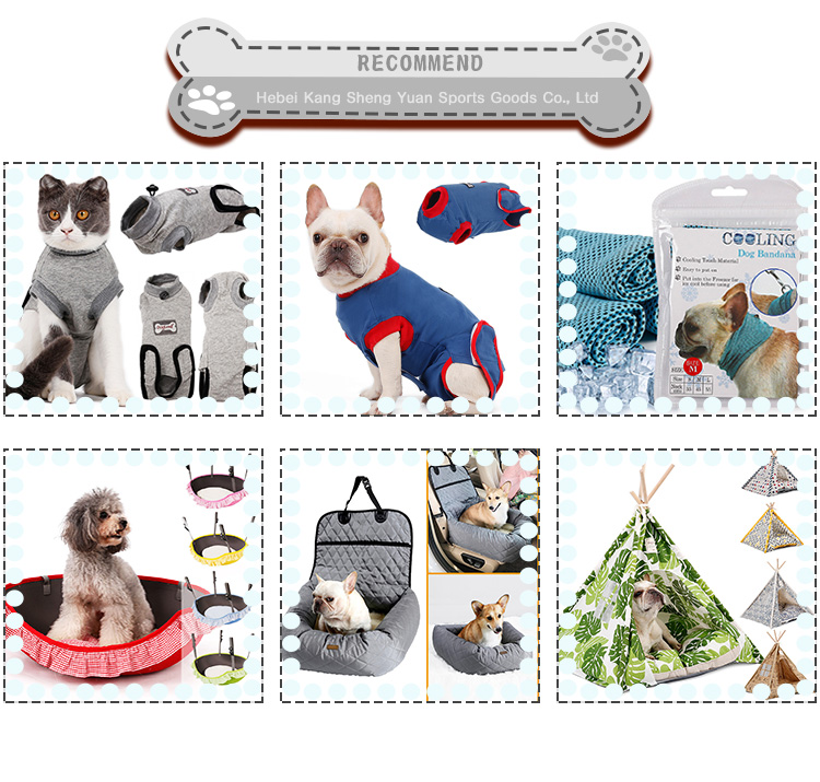 Pet Dog Knee and Leg Joint Surgery Injury Protective Cover Elbow Protector Import Wholesale Solutions