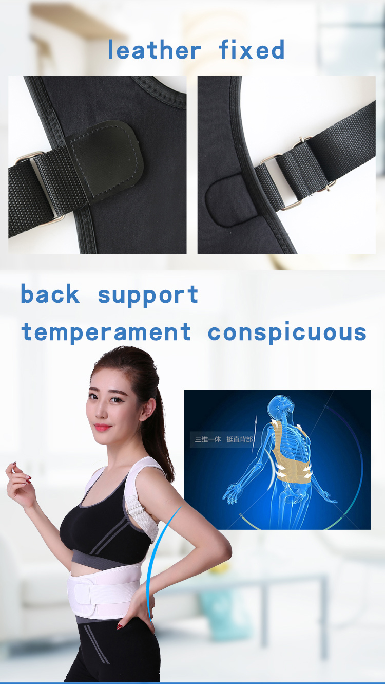 Private Label And Design Posture Brace In Back Support With High Margin Manufacturing Services Export